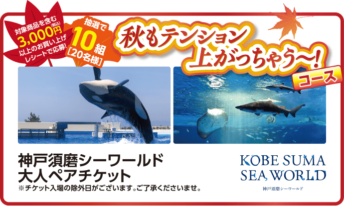 秋もテンション上がっちゃう〜!コース 神戸須磨シーワールド 大人ペアチケット 抽選で10組20名様